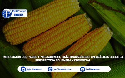Resolución del Panel T-MEC sobre el Maíz Transgénico: Un Análisis desde la Perspectiva Aduanera y Comercial