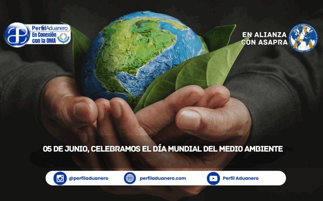 05 de junio, celebramos el Día Mundial del Medio Ambiente